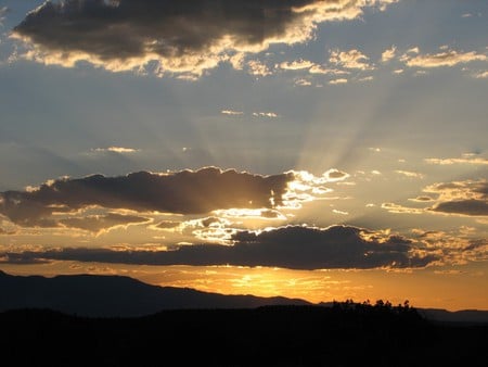 Morning Light - morning light, sunrise, color, morning