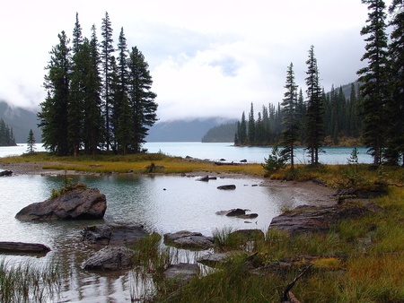 nature in the forests - trees, nature, lake, grass, sky