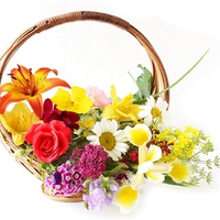 Flowers For...My Sweet Bella
