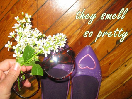 Purple shoes - abstract, colors, floor, flowers, white, glasses, purple, hand, green