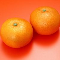 Orange on orange background