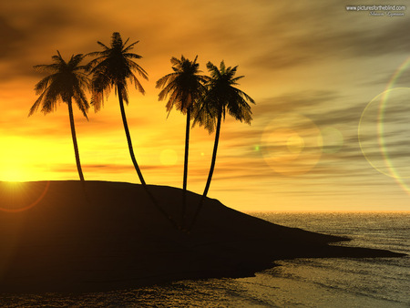 Golden sunset - beach, sky, palm, sunset