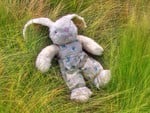 Toy rabbit on grass