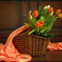 still life