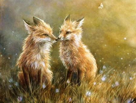 Nose Kiss - noses, foxes, spring, kiss, mates