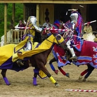 Texas Renaissance Festival