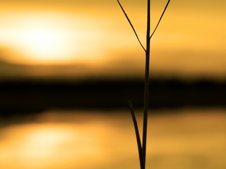 Tranquility - landscape, silence, nature, tranquility