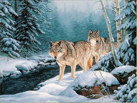 Winter hunt - pair hunting, trees, winter, creek, snow, forest, rocks, wolves