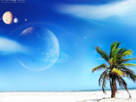 Dreamy wonderful beach - beach, sand, moon, palm