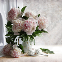 still life