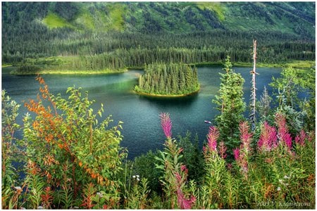 Summer view - lake, summer flowers, art photo, fullcolours, island, beautiful, small