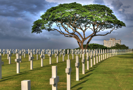 Remember - crosses, trees, fields, hdr, grass, sky