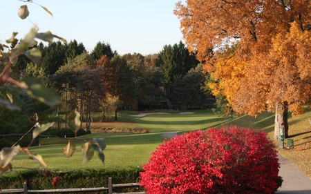 Fall Colors - nature, beautiful, autumn, colors, golf, course, foliage