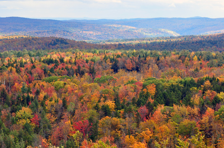 Hogback Mountain in Fall - nature, autumn, forests, beautiful, mountains, colors