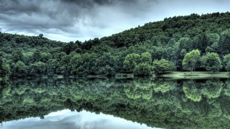 Lake Reflection - lakes, nature, cloudy, forest, reflection, overcast, beautiful, green