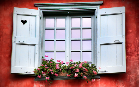 Love Window - glass, heart, shutters, planter, facade, rose, window, beautiful, door, architecture, flowers