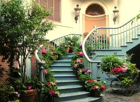 Winding stair with flowers - entrance, winding stair, flowers, house