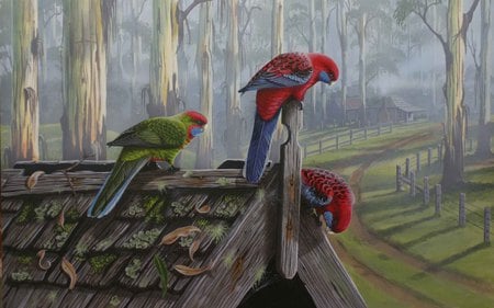 winter birds - winter, field, parrots, birds