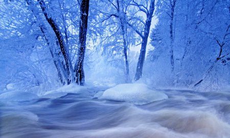 Fairytale River - amazing, trees, blue, photography, river, beautiful, water, winter