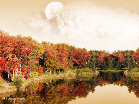 Autumn - lake, landscape, moon, tree, autumn