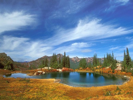 Autumn lake - lake, landscape, tree, nature, autumn