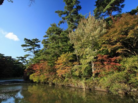 Autumn lake - lake, landscape, tree, nature, autumn