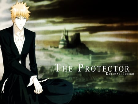 The-Protector-Ichigo - anime, ichigo