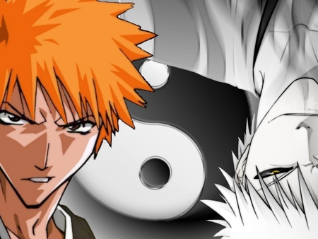 chigo-yin-and-yang - ichigo, anime, hollow