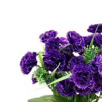 Purple flower