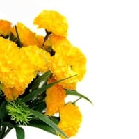 Yellow flowers