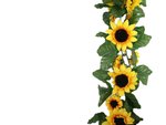 Sunflower border wallpaper