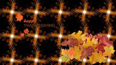 Happy Thanksgiving - autumn, fall, thanksgiving, holiday, leaves, november