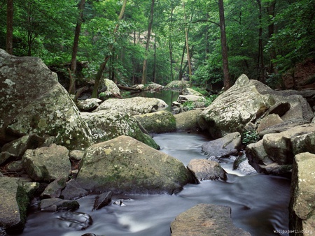 Waterfall - nature, beauty, forest, waterfall