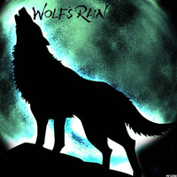 wolf rain