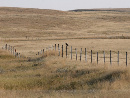 wall - nature, fields, plain, wall