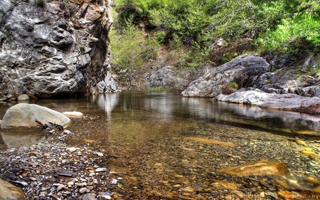 Riacho - nature, beauty, forest, river