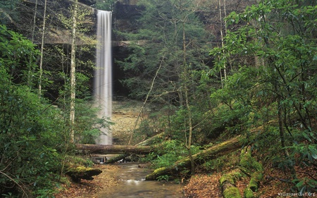 waterfall - beauty, forest, nature, waterfall