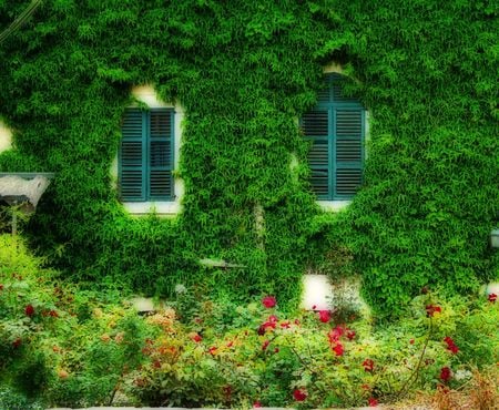 Countryhouse - house, flowers, green, window