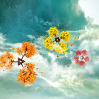 Sky play