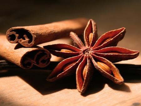 Winter Spices - fall, cinnamon, winter, anise, autumn, spices, cold, chill