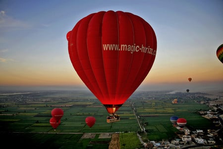 hot air balloons - free, fly, hot, air, balloons, sky