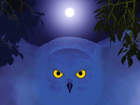 night time - owl, moon, abstract, fantasy, birb, art