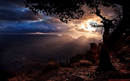 landscape - landscape, tree, sun, top