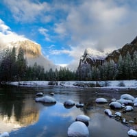 Winter landscape