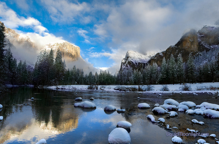 Winter landscape