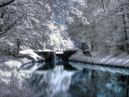 Winter in the park - white, nature, amazing, landscape, beautiful, stream, park, winter