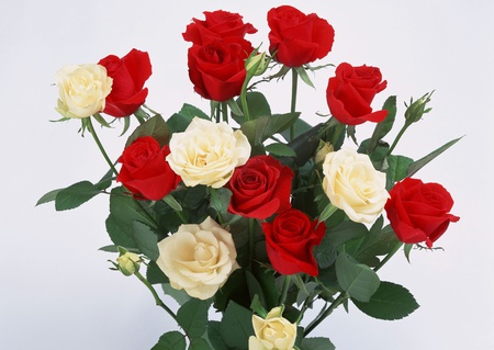 bouquet - nice, roses, photography, bouquet, rose, elegant, white, cool, red, beautiful, flowers, flower