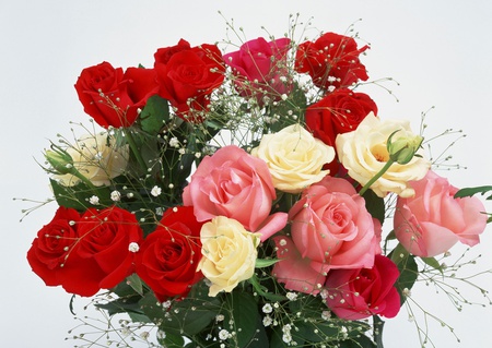 bouquet - nice, roses, photography, bouquet, elegant, rose, gentle, cool, beautiful, flowers, photo, flower, harmony