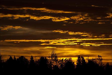 Sunset - sky, trees, nature, sunset