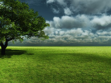 3 d tree - nature, cloud, 3d, field, tree, grass